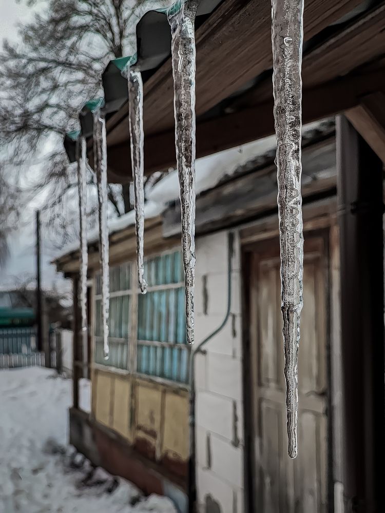 Фотография автора Ольга Савочкина