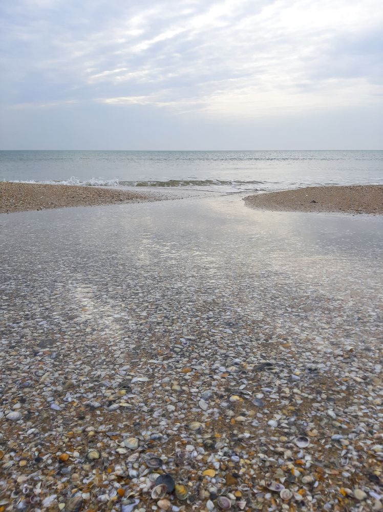 Photograph by Olga Smirnova