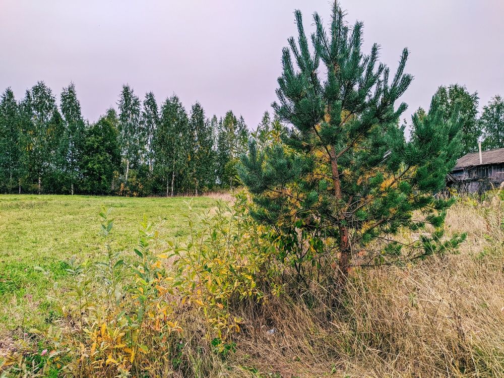 Photograph by Светлана