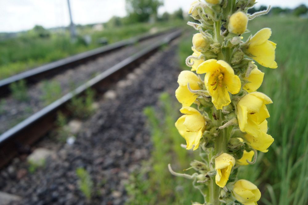 Photograph by Ирина Федичева