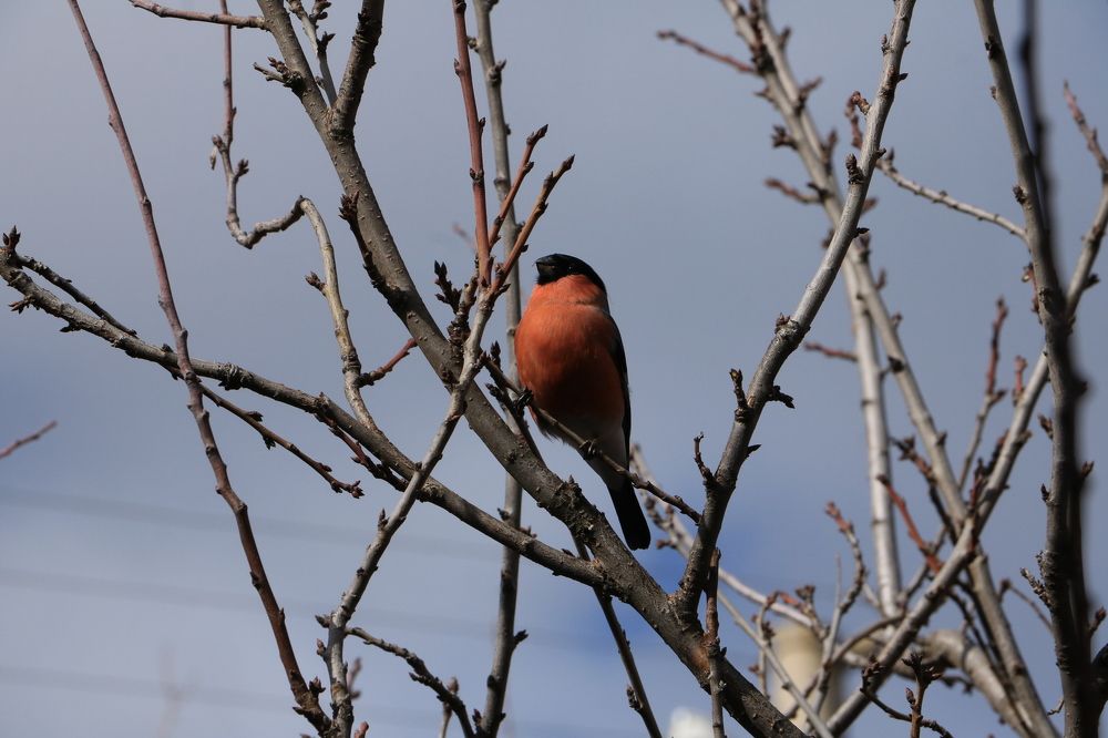 Photograph by Cengiz Yalcin