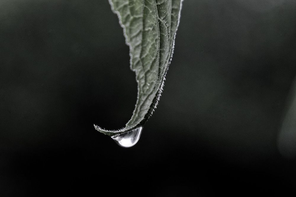 Photograph by Анатолий Калмыков