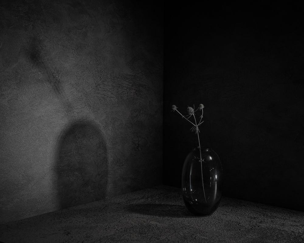 Photograph by Natalia Novikova