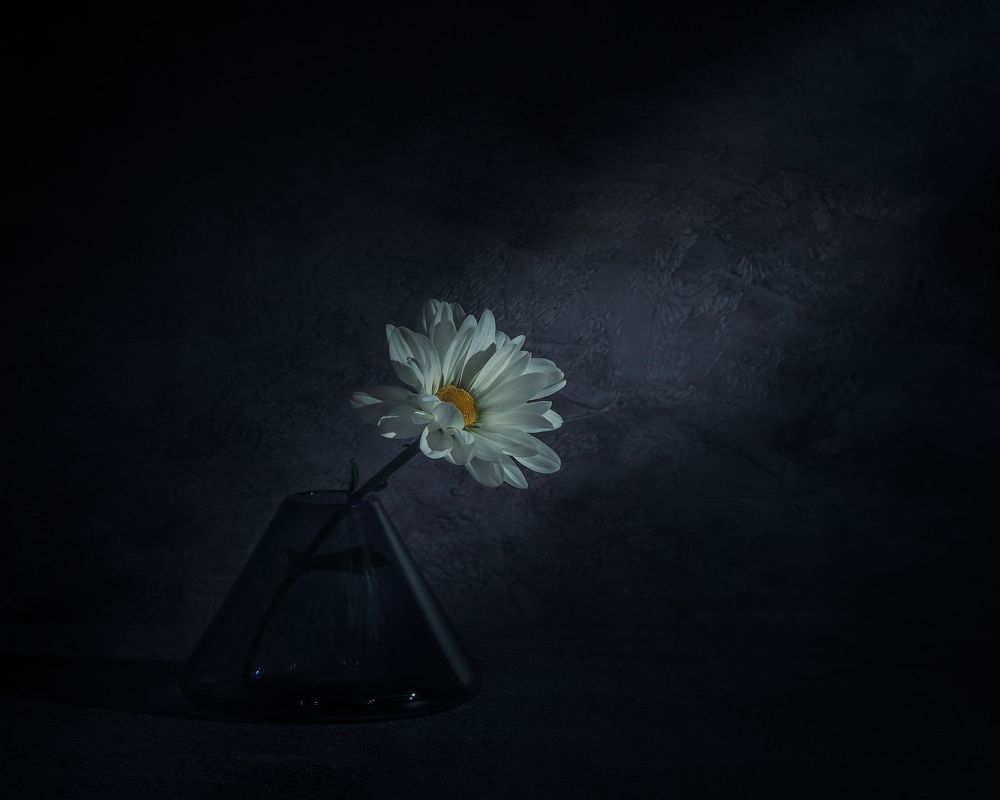 Photograph by Natalia Novikova