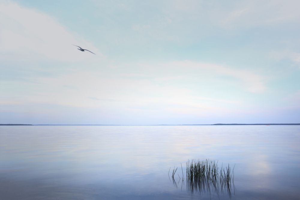 Photograph by Марина Багрецова