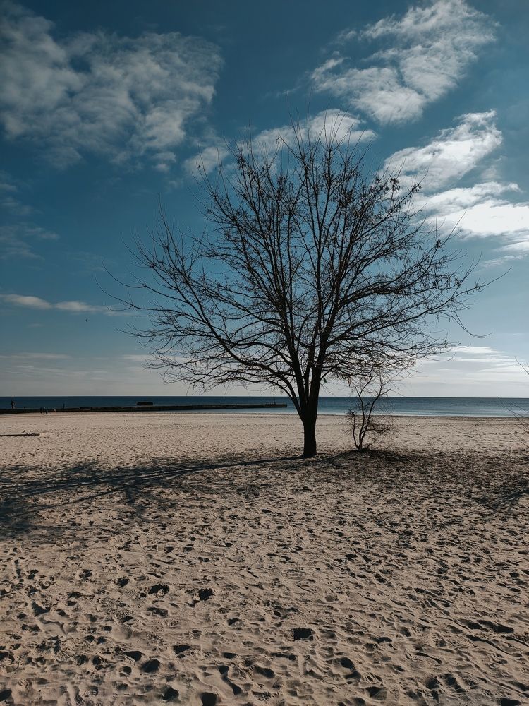 Photograph by Алёна