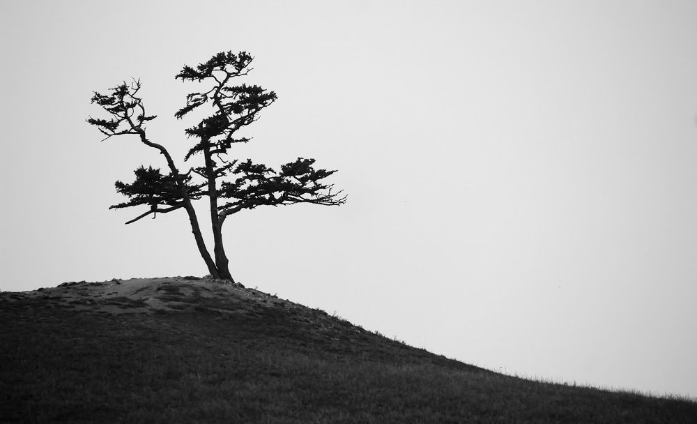 Photograph by Наталья Юрова