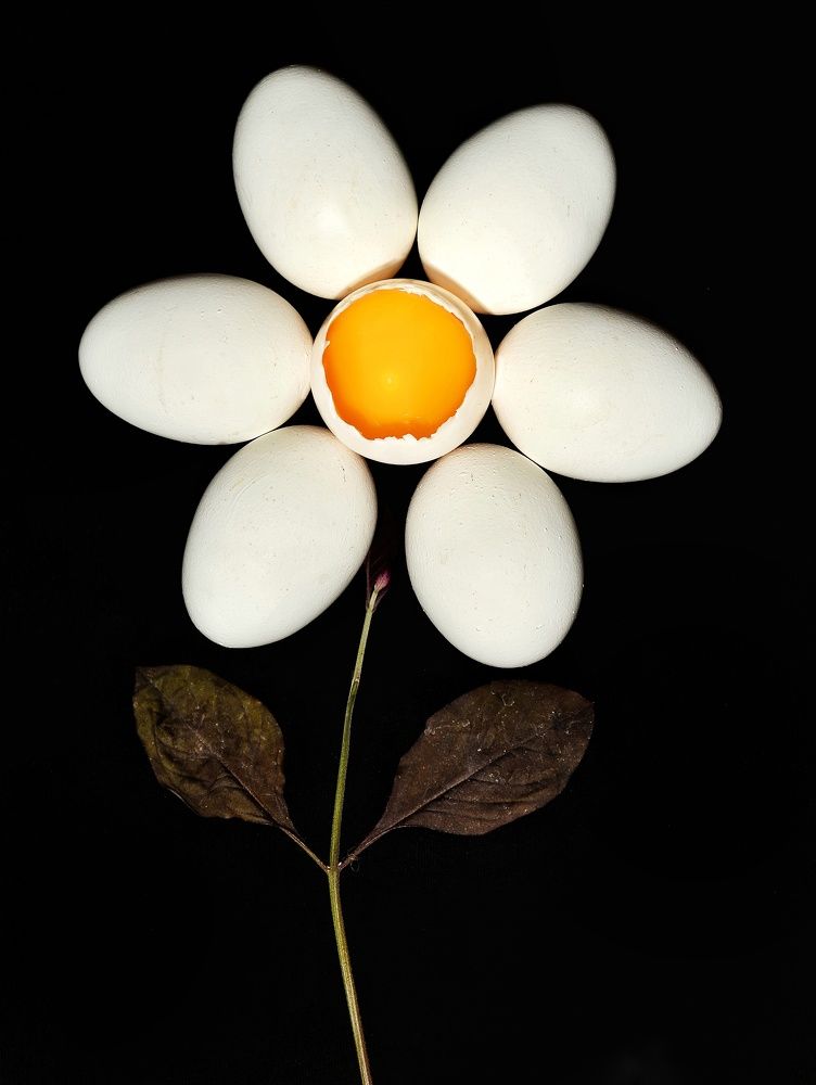Фотография автора Sayan Mondal
