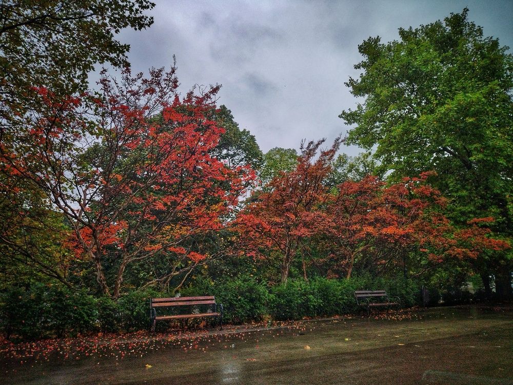 Photograph by Yana Marinova