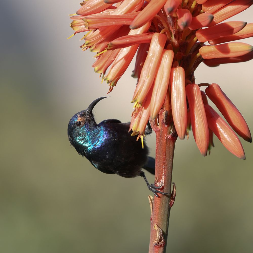 Photograph by pavel chtein