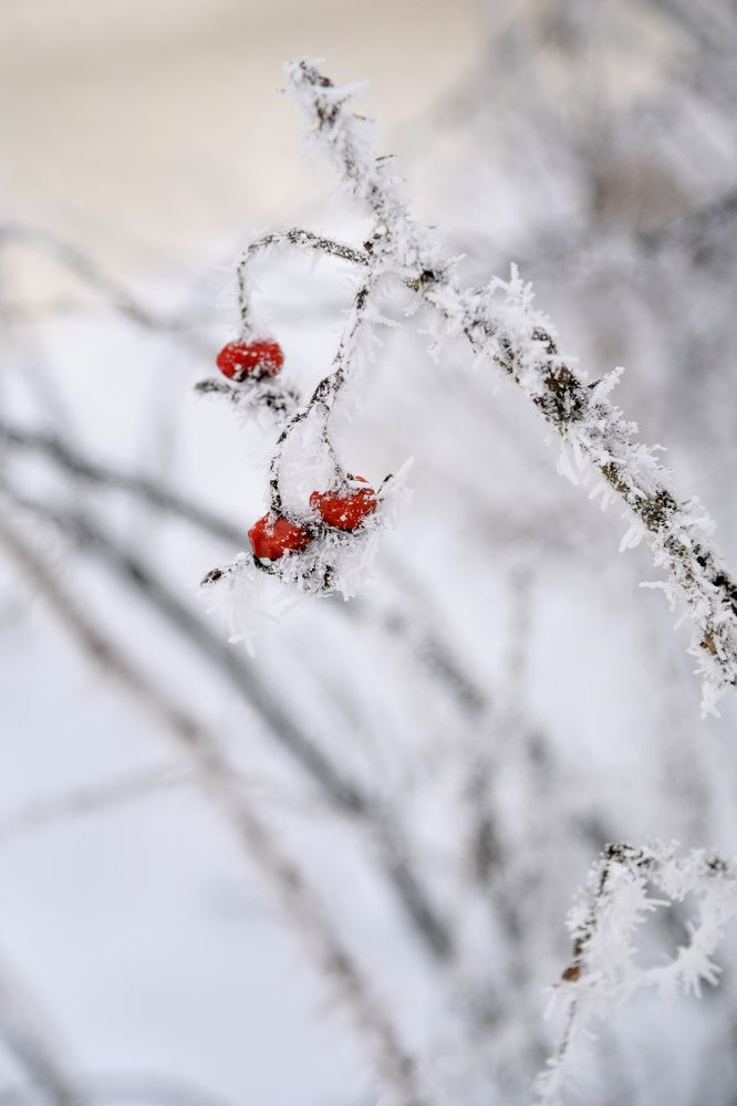 Photograph by Оксана Астрова