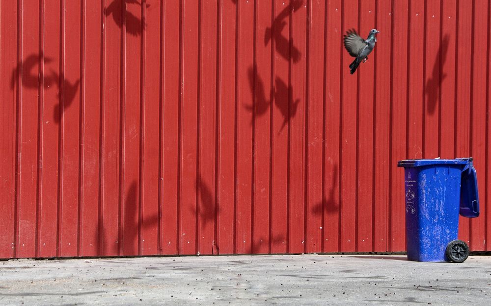 Photograph by SAJAD ABD ALALAH