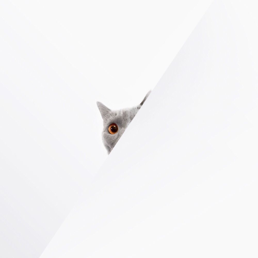 Photograph by Sergey Rodichkin