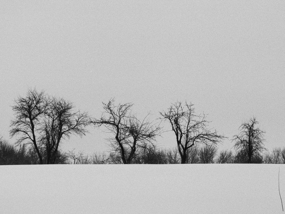 Photograph by Andrey Chernov