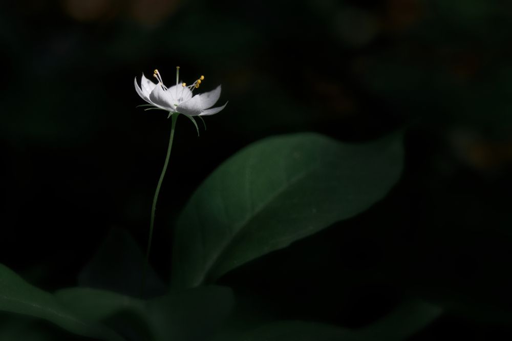 Photograph by Анатолий Калмыков