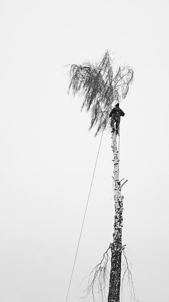 Photograph by Алеся Цеван