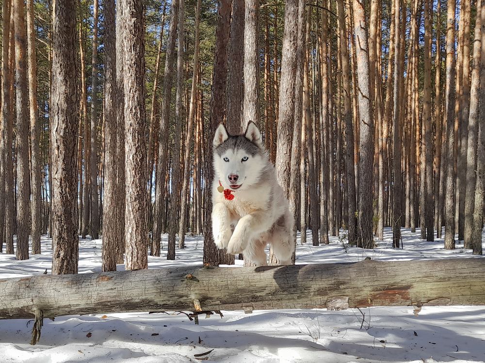 Фотография автора Мария Яропольская