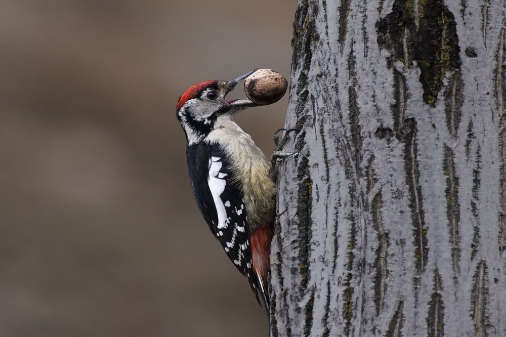 Photograph by DR ARPIT BANSAL