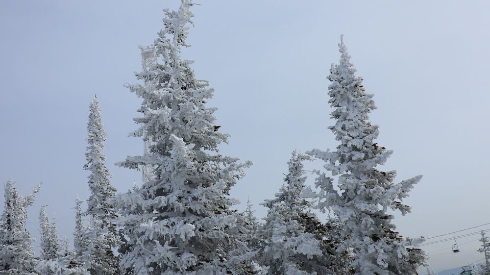 Photograph by Алла