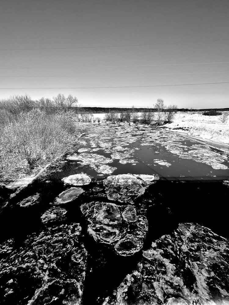 Photograph by Bayborodova Darya