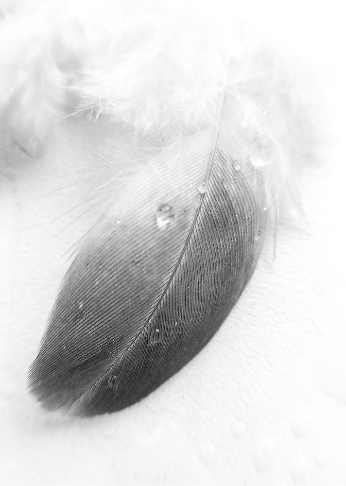 Photograph by Ольга Ситникова