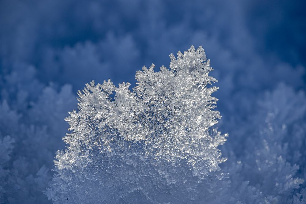 Photograph by Юлия Куликова