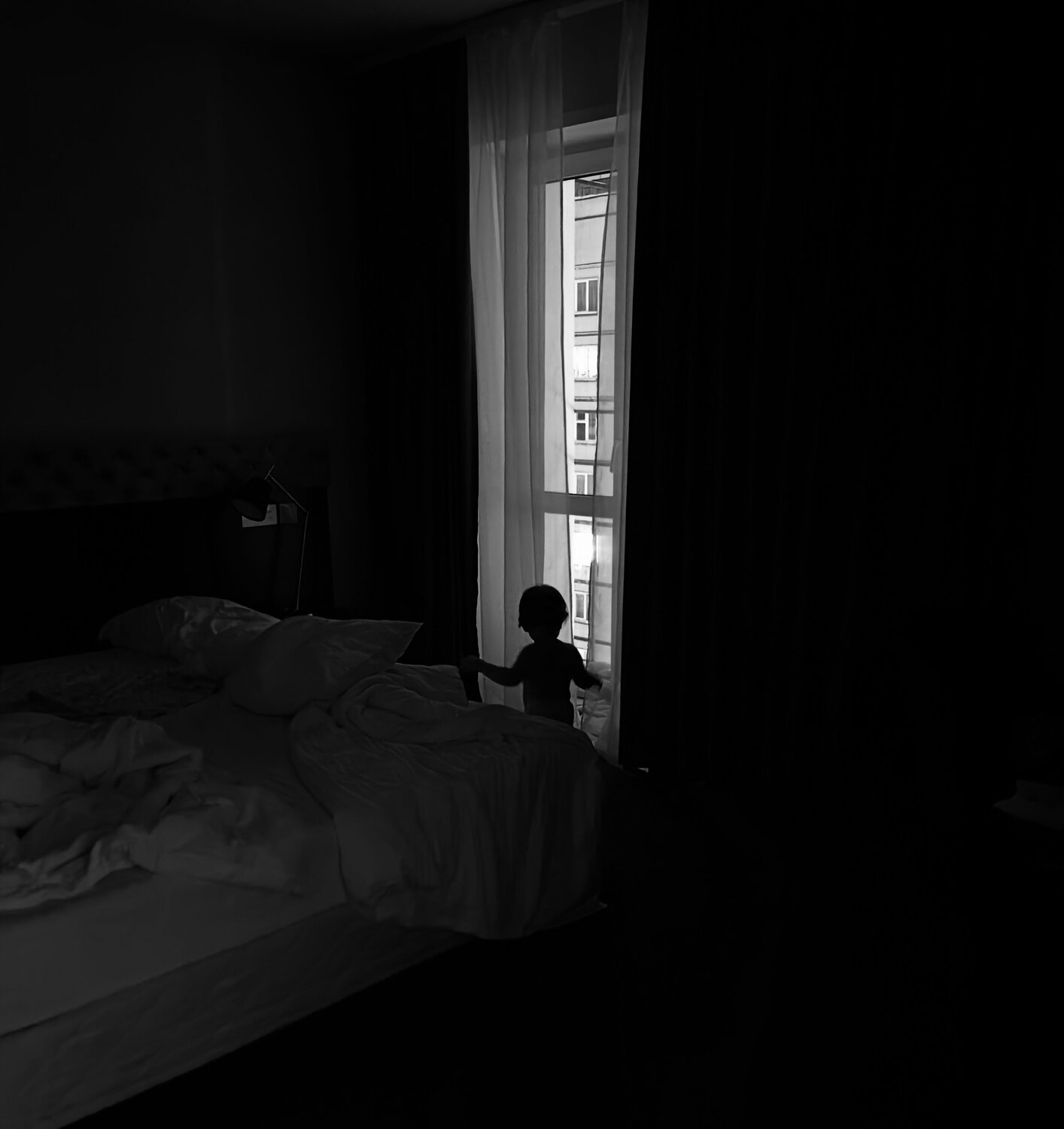 Photo #7438780