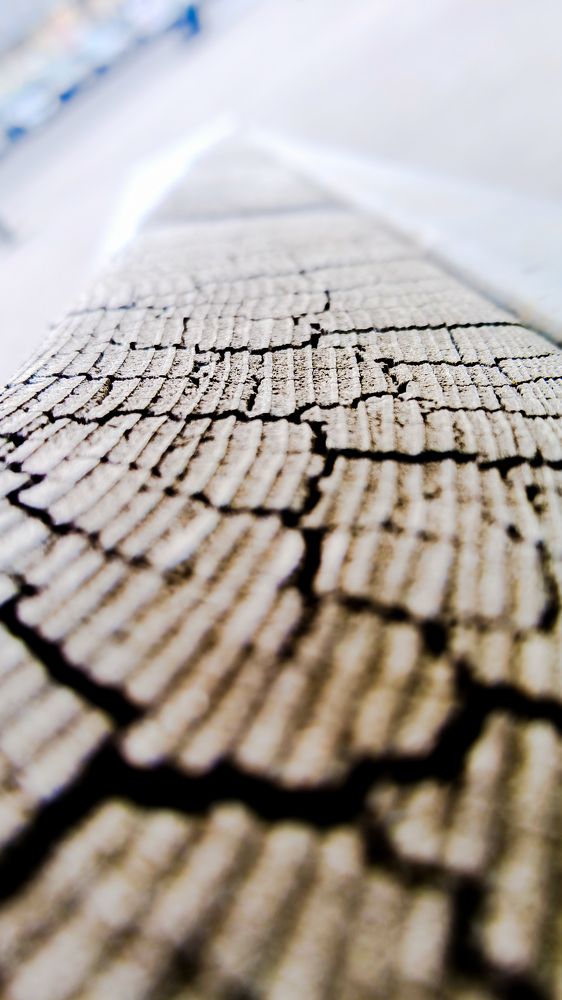 Photo #7438813