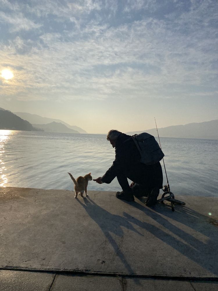 Photograph by Татьяна Зоренко