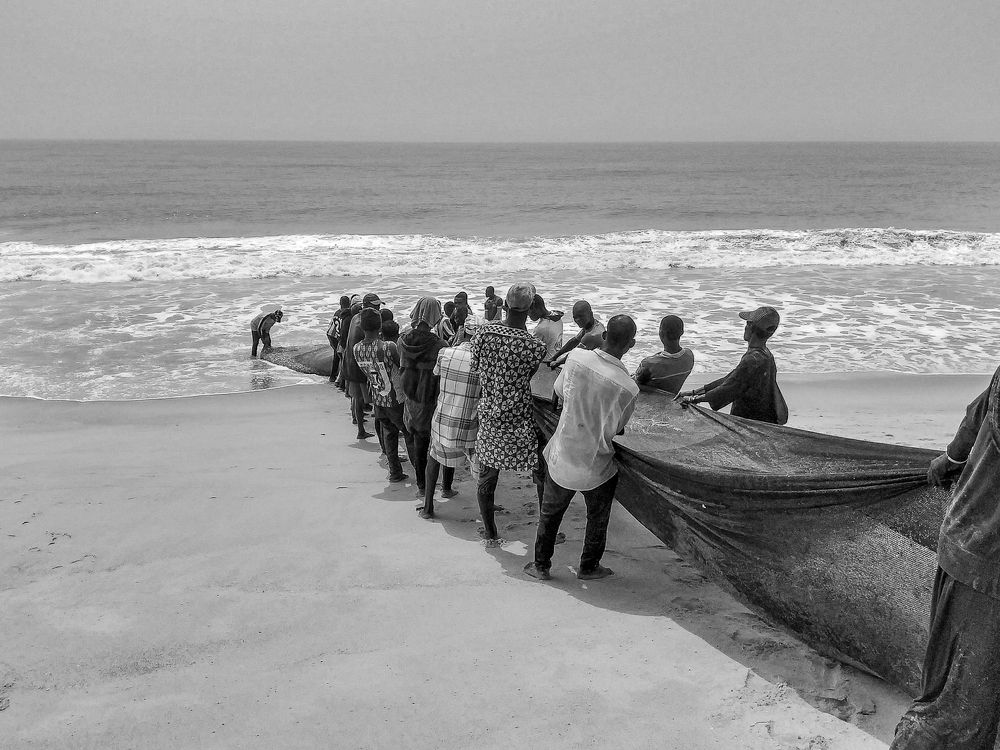La pêche au grand filet