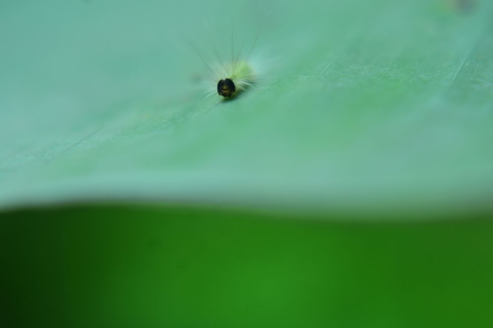 Photograph by Kartick Panja