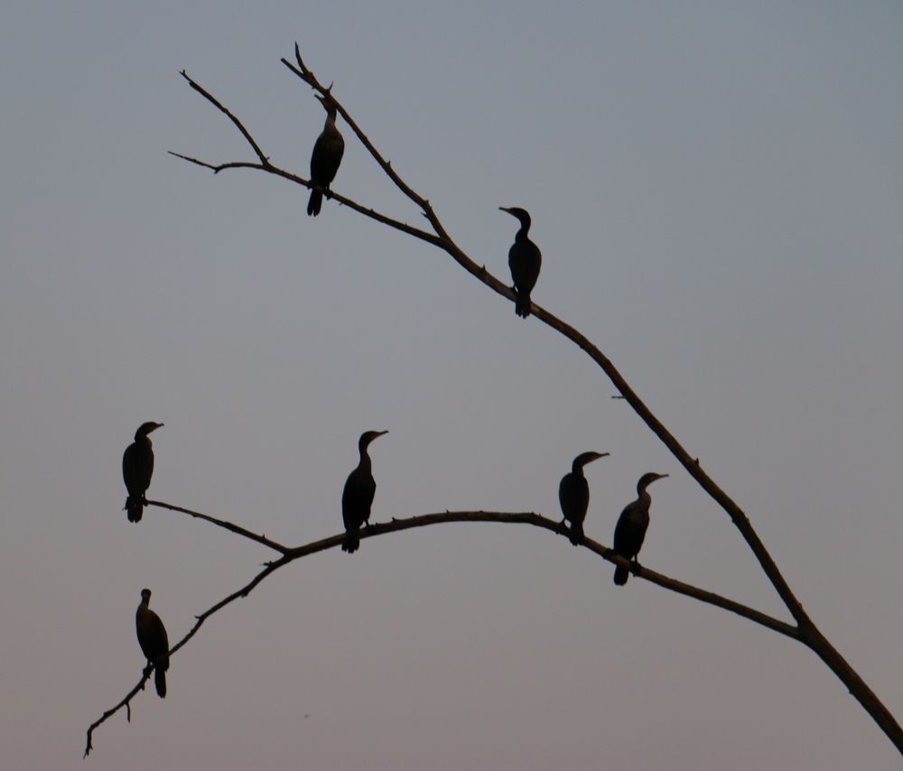 Photograph by Маргарита Венсил.