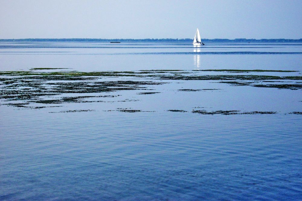 Белеет парус.