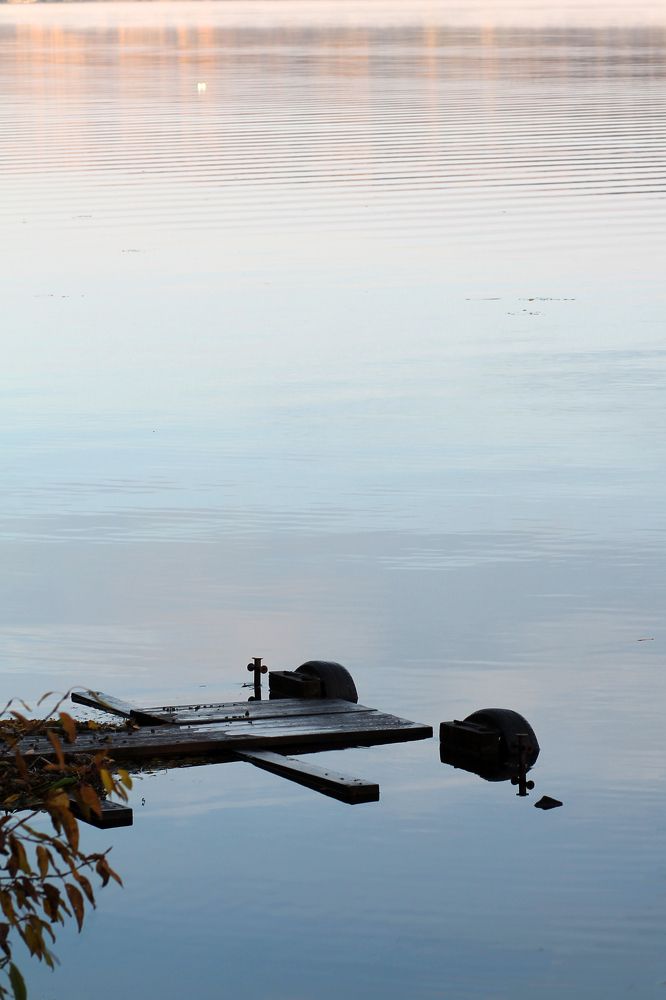 Photograph by Елена