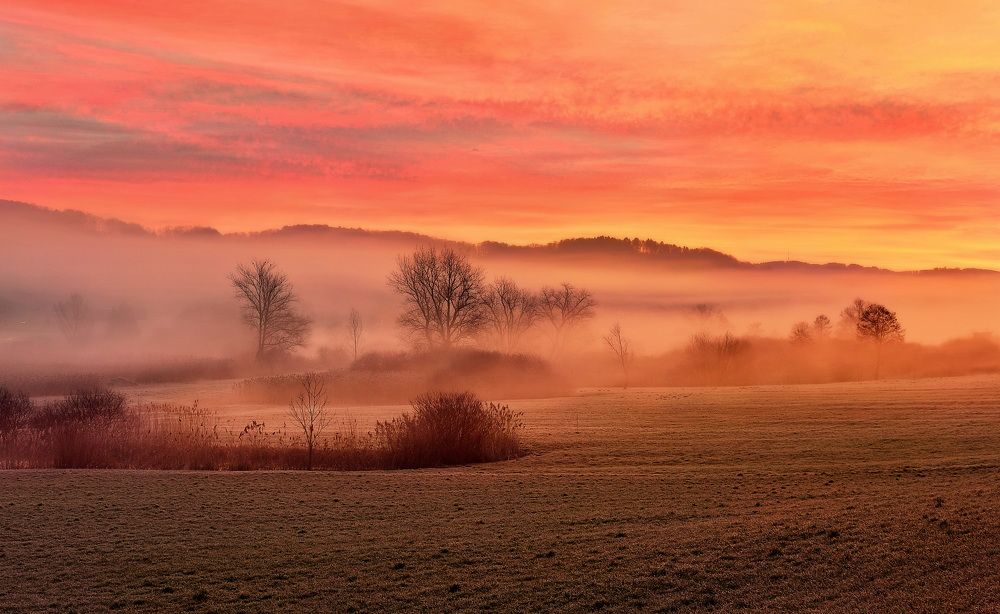 Photograph by Elena Wymann