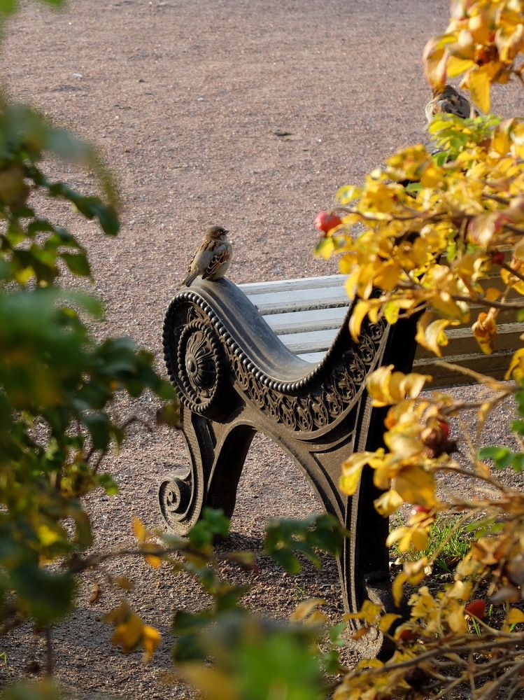 Photograph by Margarita Malikova