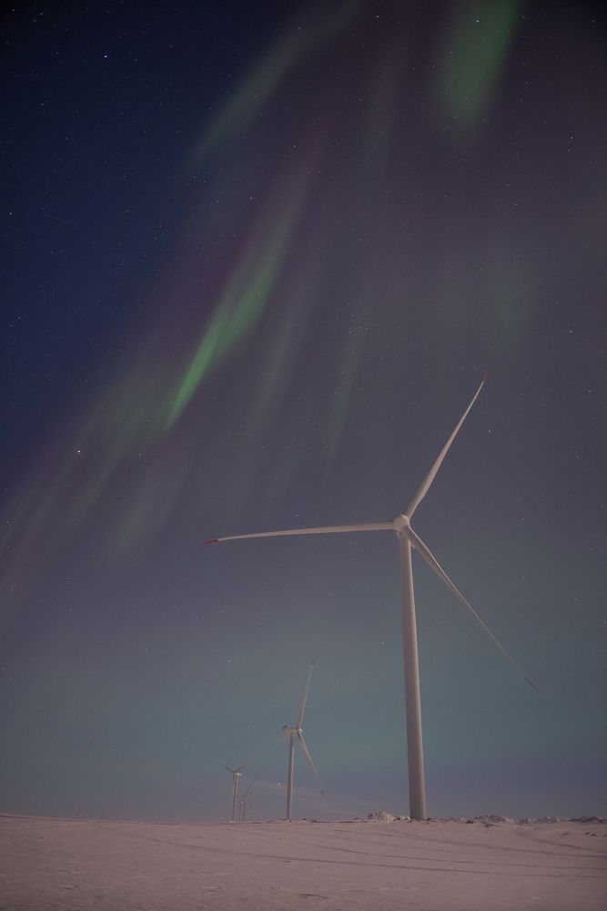 Photograph by Елена Ермолина