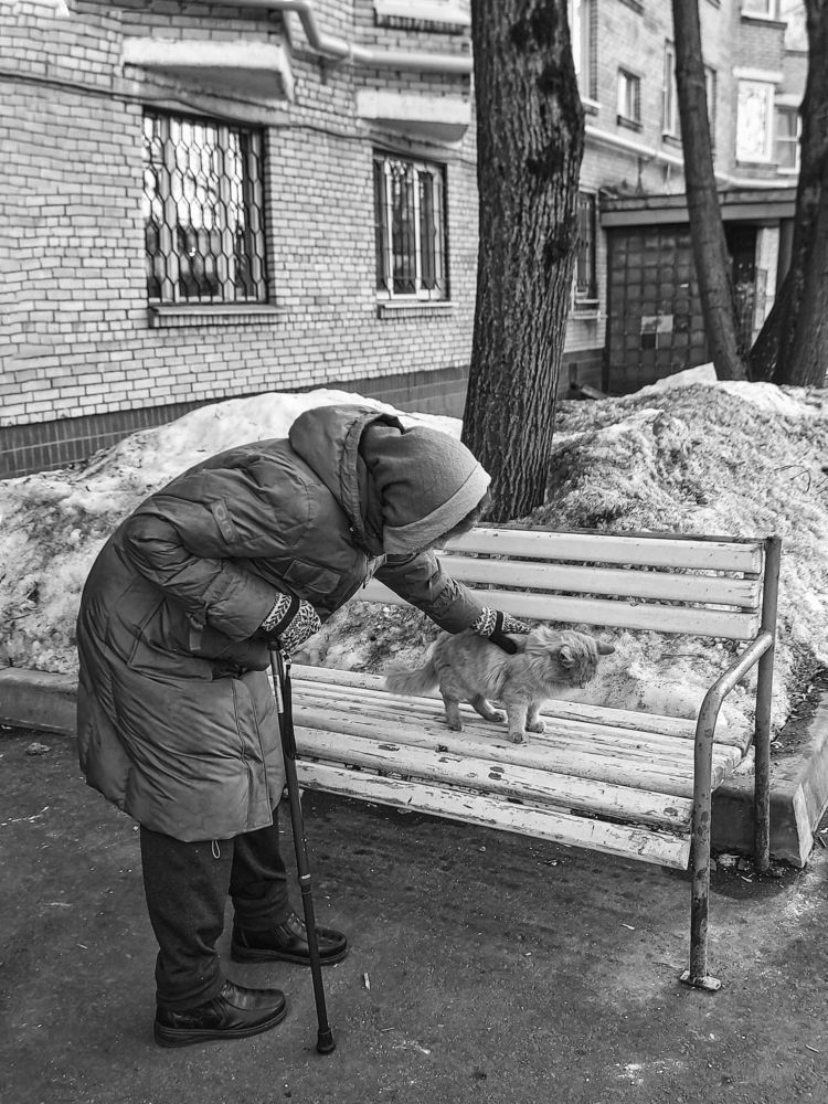 Фотография автора Владимир Баулин