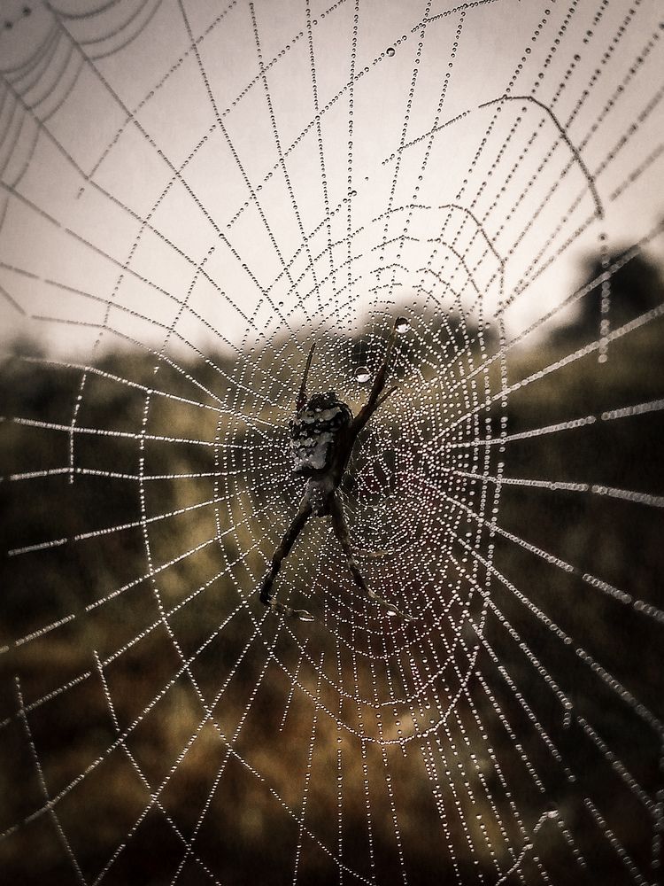 Photograph by Hiren Sodham