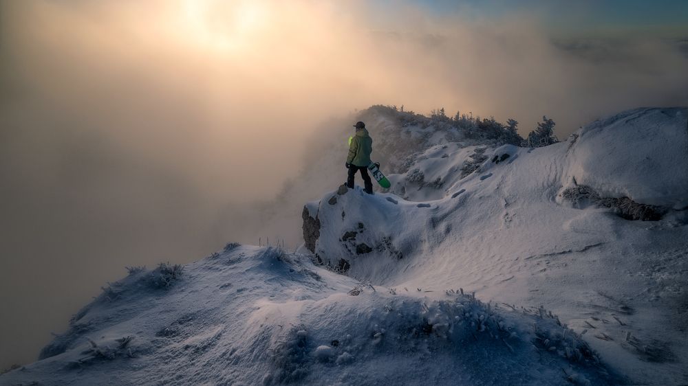 The Last of us: Part II