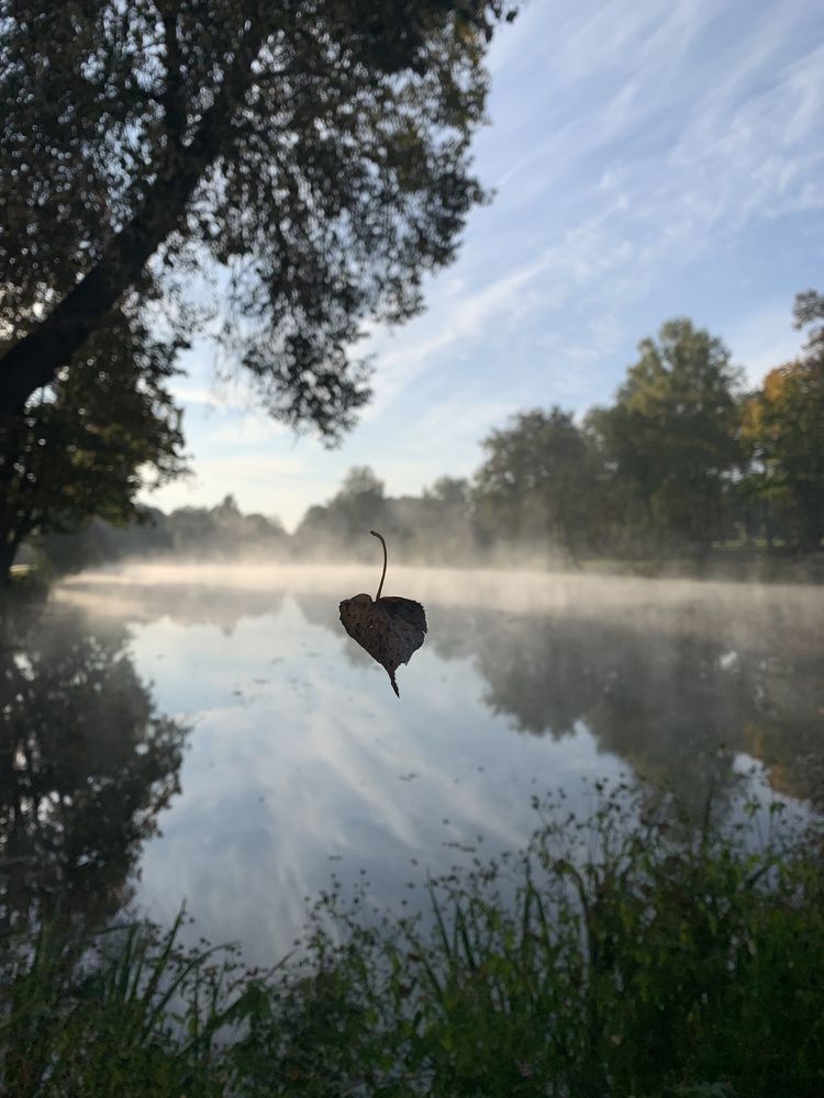 Photograph by Анна Данрой