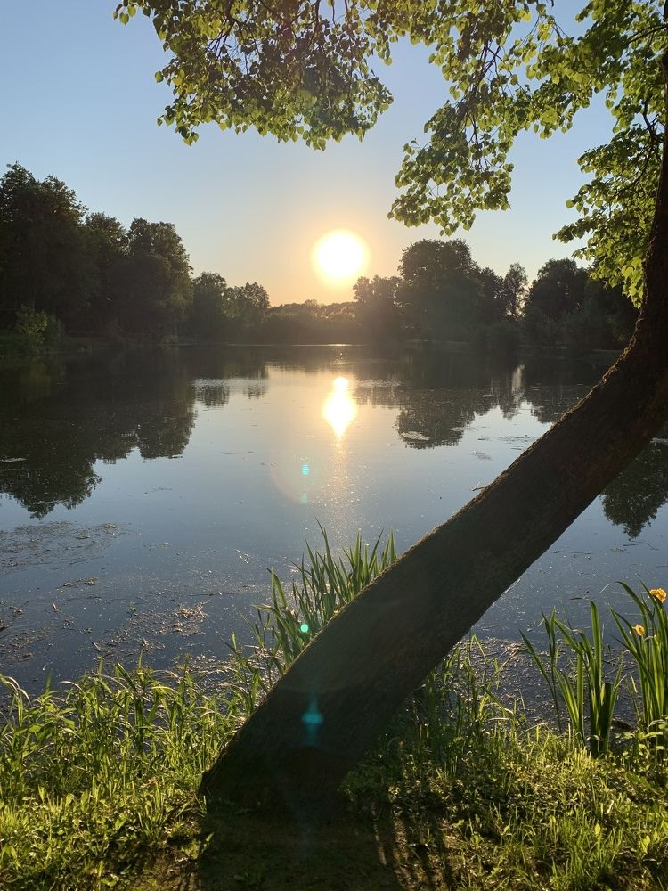 Photograph by Анна Данрой