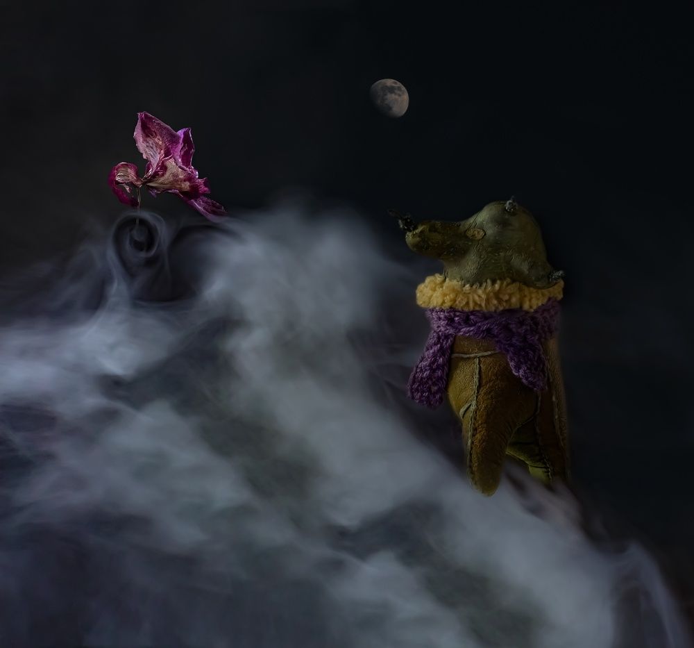 Фотография автора Черновол Валентин