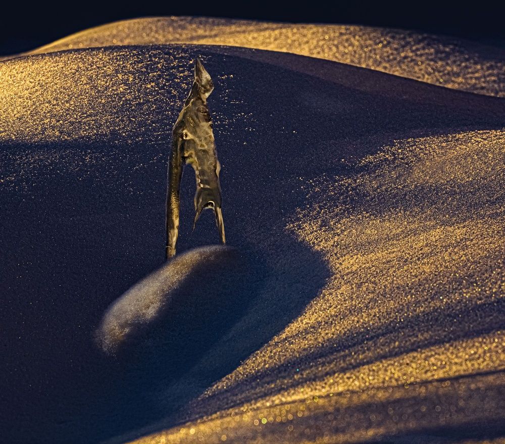 Фотография автора Черновол Валентин