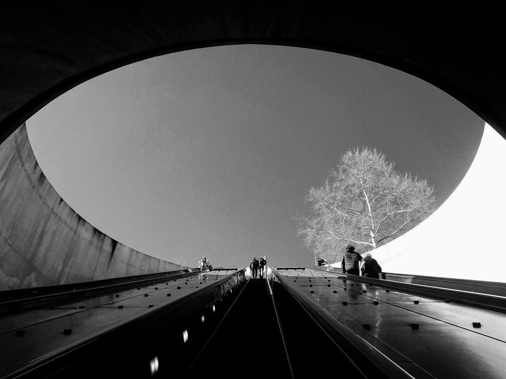 Photograph by Laura Consuelo Dominguez Chitiva