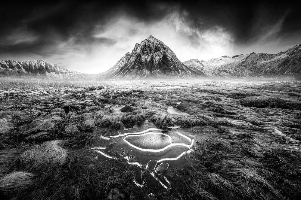 Photograph by Mohamed Sharaf Mo