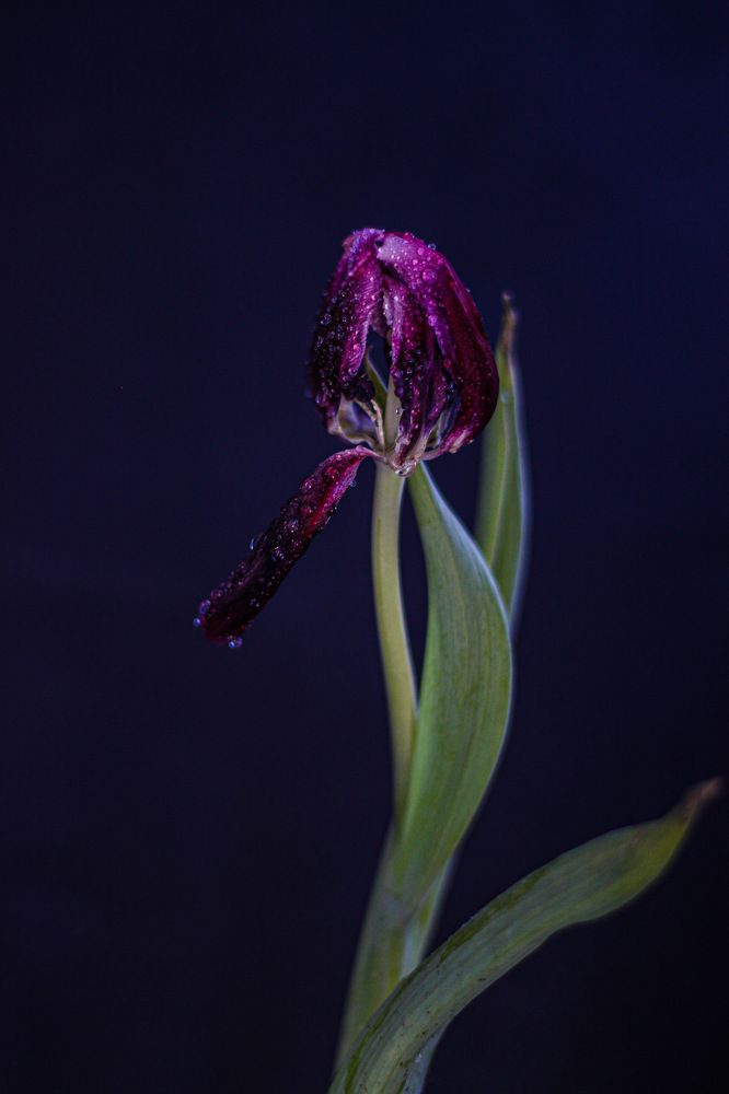 Photograph by Ольга Дорошенко