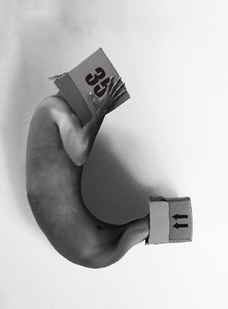 Фотография автора Daniyal Arabzadeh