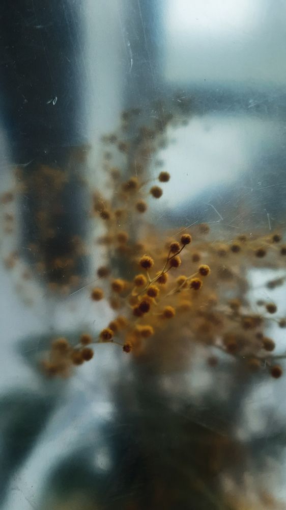 Фотография автора Дарина Фельдман