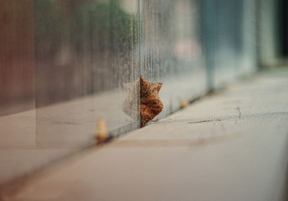 Photograph by Сергей Арямов